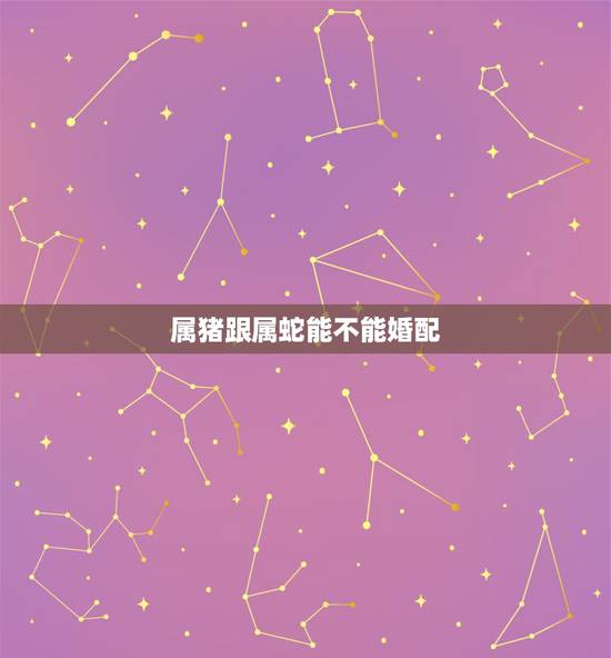 属猪跟属蛇能不能婚配,属猪和属蛇婚姻相配吗 属猪跟属蛇能不能婚配,属猪和属蛇婚姻相配吗