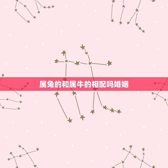 属兔的和属牛的相配吗婚姻,生肖兔和生肖牛一起好吗 属兔的和属牛的相配吗婚姻,生肖兔和生肖牛一起好吗