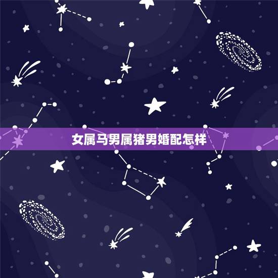 女属马男属猪男婚配怎样，属猪男和属马女相配吗