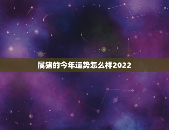 属猪的今年运势怎么样2022,属猪的今年运气怎么样? 属猪的今年运势怎么样2022,属猪的今年运气怎么样?
