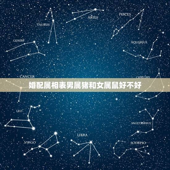 婚配属相表男属猪和女属鼠好不好，属鼠和属猪的相配吗