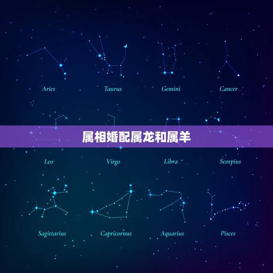 属相婚配属龙和属羊，属龙和属羊的生什么属相最好