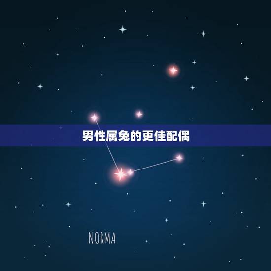 男性属兔的更佳配偶，六三年属兔男更佳配偶