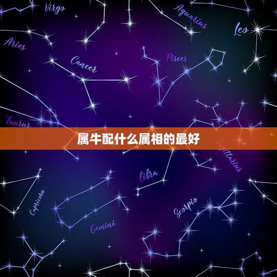 属牛配什么属相的最好,属牛的人和什么属相最配 属牛配什么属相的最好,属牛的人和什么属相最配