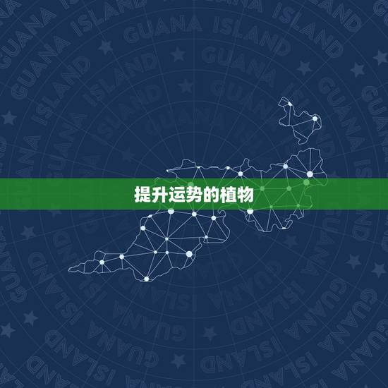 提升运势的植物，十二生肖养什么植物可以旺财