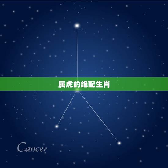 属虎的绝配生肖,属龙婚配哪个属相更好命 属虎的绝配生肖,属龙婚配哪个属相更好命