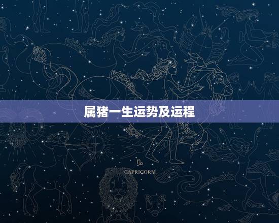 属猪一生运势及运程,属猪农历十二月二十七的一生运气 属猪一生运势及运程,属猪农历十二月二十七的一生运气