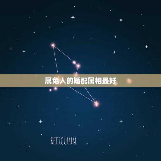 属兔人的婚配属相最好,属兔男的适合婚配属相 属兔人的婚配属相最好,属兔男的适合婚配属相