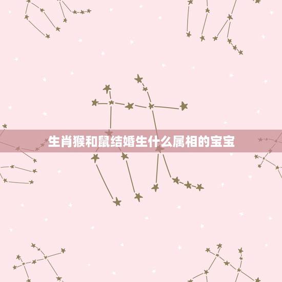 生肖猴和鼠结婚生什么属相的宝宝，女的属老鼠男的属猴生什么属相的孩子好