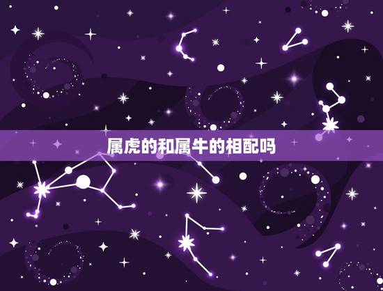 属虎的和属牛的相配吗 ，男牛女虎结婚的幸福吗