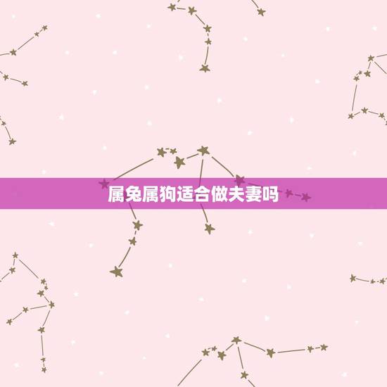 属兔属狗适合做夫妻吗,男属狗女属龙相克吗 属兔属狗适合做夫妻吗,男属狗女属龙相克吗