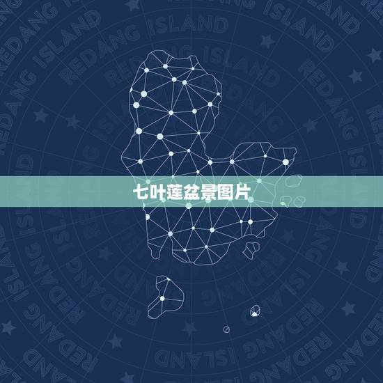 七叶莲盆景图片,谁家有盆景七叶莲花照几张图片看看什么样的? 七叶莲盆景图片,谁家有盆景七叶莲花照几张图片看看什么样的?