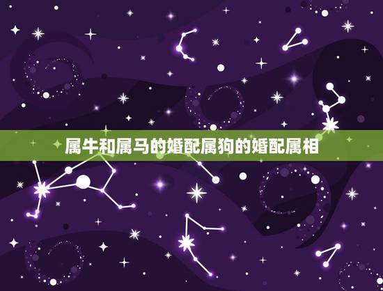 属牛和属马的婚配属狗的婚配属相,生肖属牛和属马的人结婚会怎样 属牛和属马的婚配属狗的婚配属相,生肖属牛和属马的人结婚会怎样