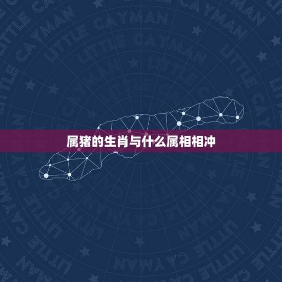 属猪的生肖与什么属相相冲,属猪与什么属相不合 属猪的生肖与什么属相相冲,属猪与什么属相不合