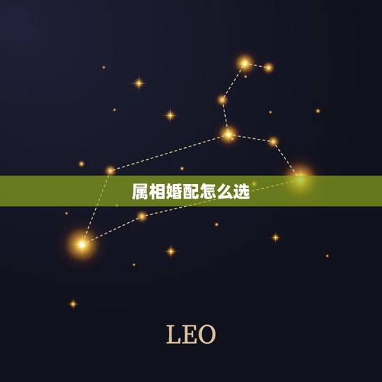 属相婚配怎么选,中国的属相婚配,也不知道准不准 属相婚配怎么选,中国的属相婚配,也不知道准不准