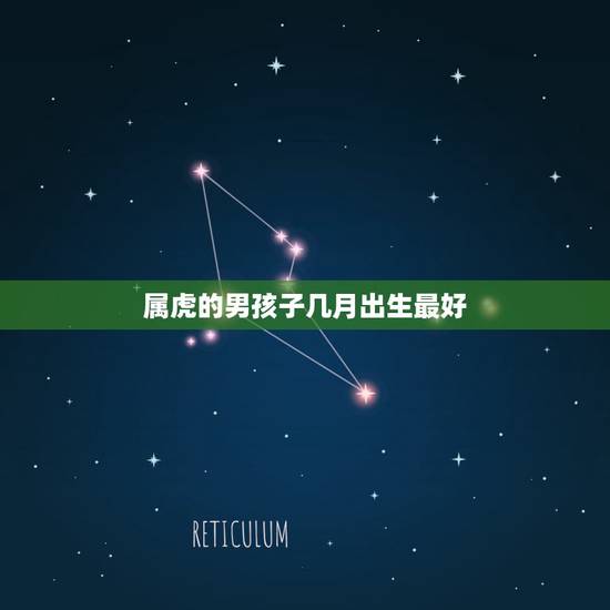 属虎的男孩子几月出生最好,属虎的几月份出生好 属虎的男孩子几月出生最好,属虎的几月份出生好