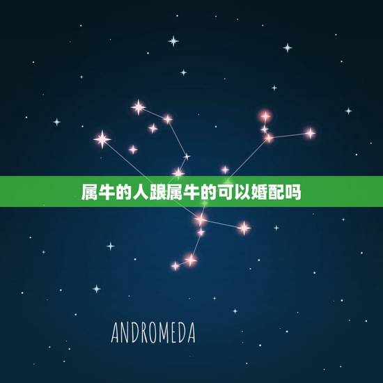属牛的人跟属牛的可以婚配吗,属牛的和什么属相最相配 12属相婚配表 属牛的人跟属牛的可以婚配吗,属牛的和什么属相最相配 12属相婚配表