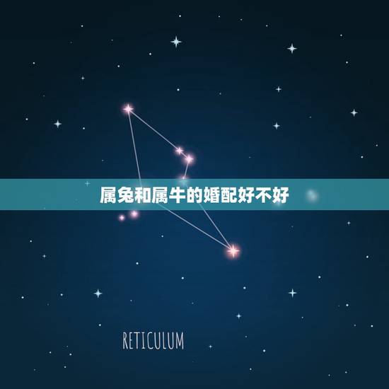 属兔和属牛的婚配好不好，男鼠女蛇婚配好不好