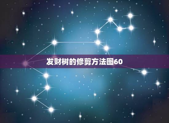发财树的修剪方法图60,这是一株发财树吗?叶子刚修剪过。 怎么让它的 发财树的修剪方法图60,这是一株发财树吗?叶子刚修剪过。 怎么让它的