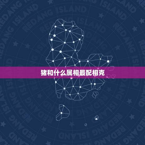 猪和什么属相最配相克，属猪的和什么属相最配