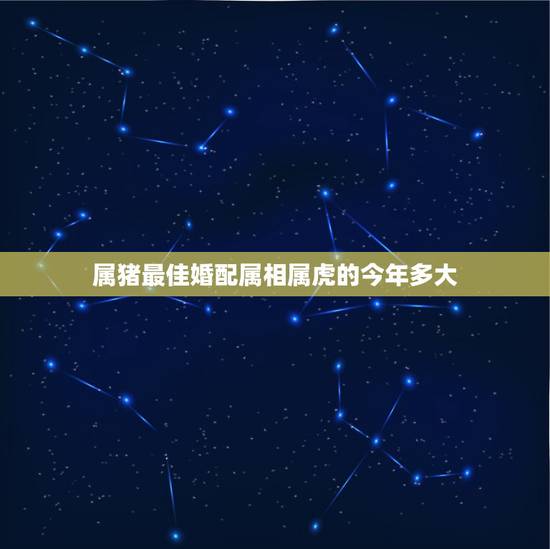属猪最佳婚配属相属虎的今年多大，和什么属相最配 属虎的属相婚配表