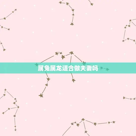 属兔属龙适合做夫妻吗 属兔属龙适合做夫妻吗