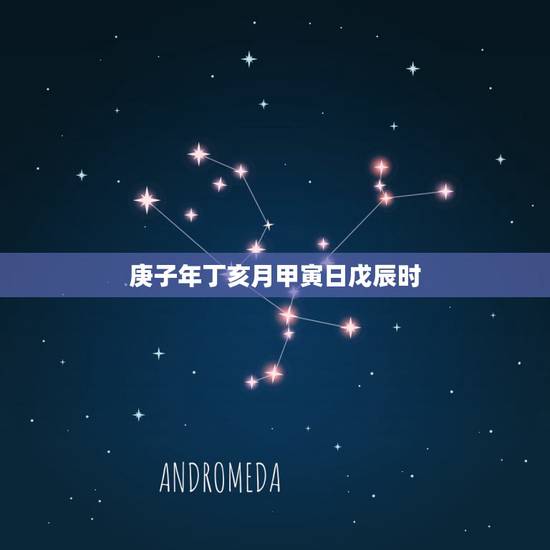 庚子年丁亥月甲寅日戊辰时，己酉月甲寅日戊辰时