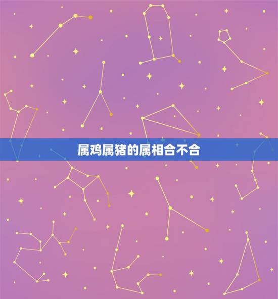 属鸡属猪的属相合不合，属猪和鸡属相合不合