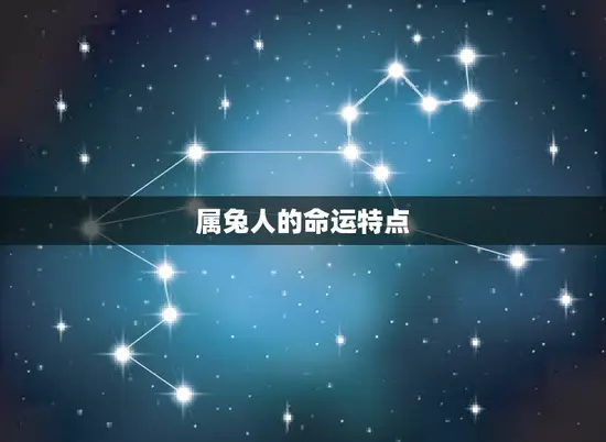 属兔人的命运特点