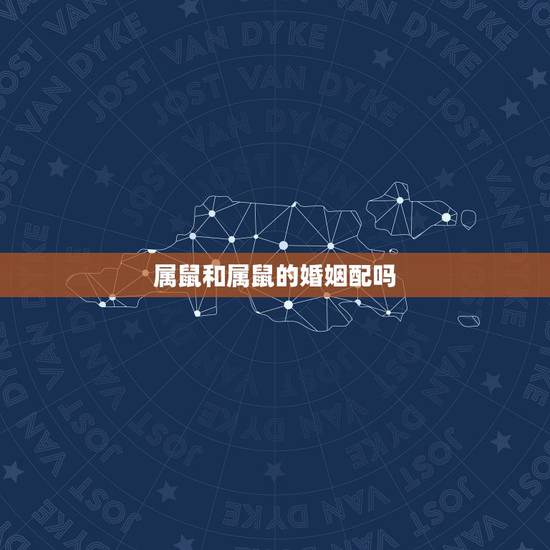 属鼠和属鼠的婚姻配吗,属鼠配属鼠婚姻和财运 属鼠和属鼠的婚姻配吗,属鼠配属鼠婚姻和财运