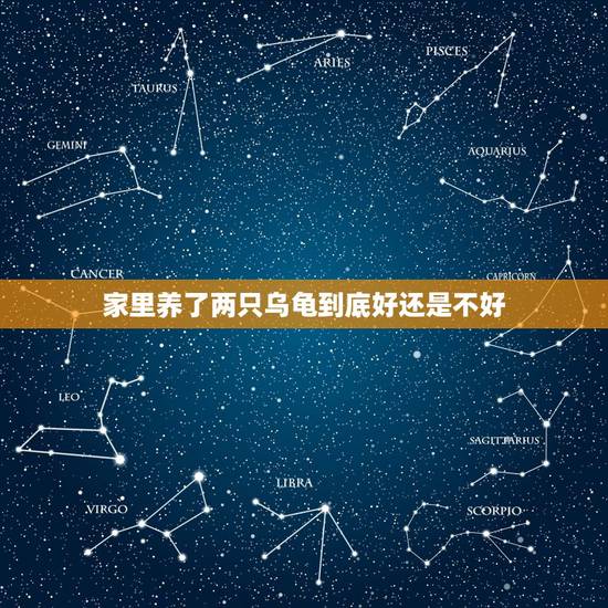 家里养了两只乌龟到底好还是不好，听说乌龟能影响家里的风水，我想养两只乌