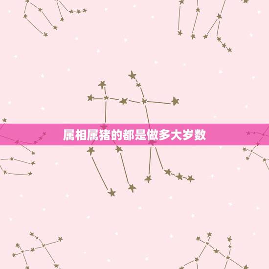属相属猪的都是做多大岁数，属猪的今年多大年龄2021