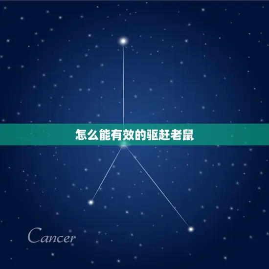 怎么能有效的驱赶老鼠 怎么能有效的驱赶老鼠