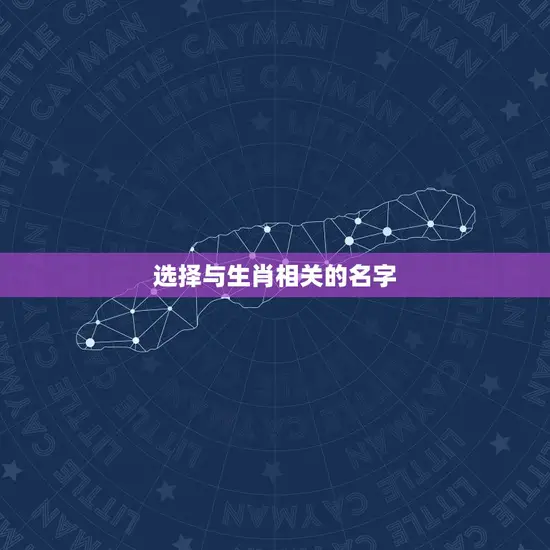 选择与生肖相关的名字