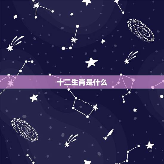 十二生肖是什么，十二生肖的动物是什么样子的