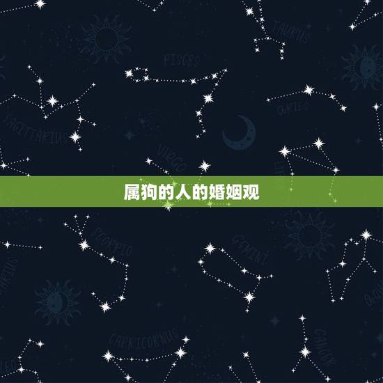 属狗的人的婚姻观 属狗的人的婚姻观