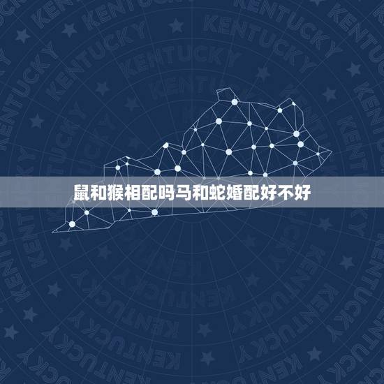 鼠和猴相配吗马和蛇婚配好不好,属老鼠和猴合吗? 鼠和猴相配吗马和蛇婚配好不好,属老鼠和猴合吗?