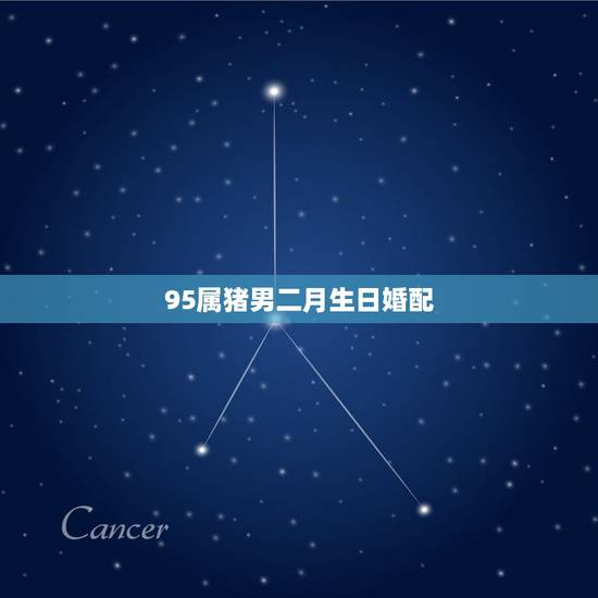 95属猪男二月生日婚配,属猪的几月出生最好?属猪的属相婚配表 95属猪男二月生日婚配,属猪的几月出生最好?属猪的属相婚配表