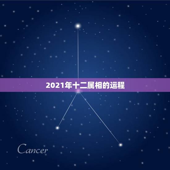 2021年十二属相的运程，81年属鸡2021年运势