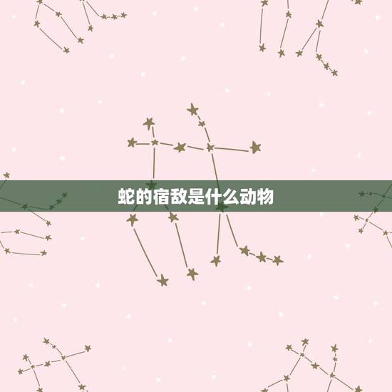 蛇的宿敌是什么动物，蛇是哺乳动物吗