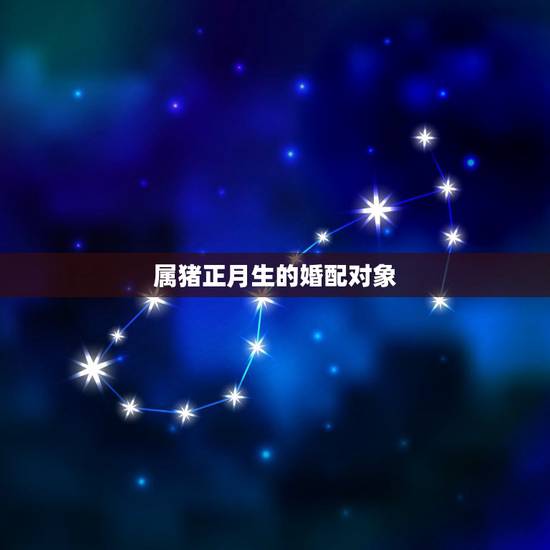 属猪正月生的婚配对象,95年正月的属猪的和什么属相最配 属猪正月生的婚配对象,95年正月的属猪的和什么属相最配