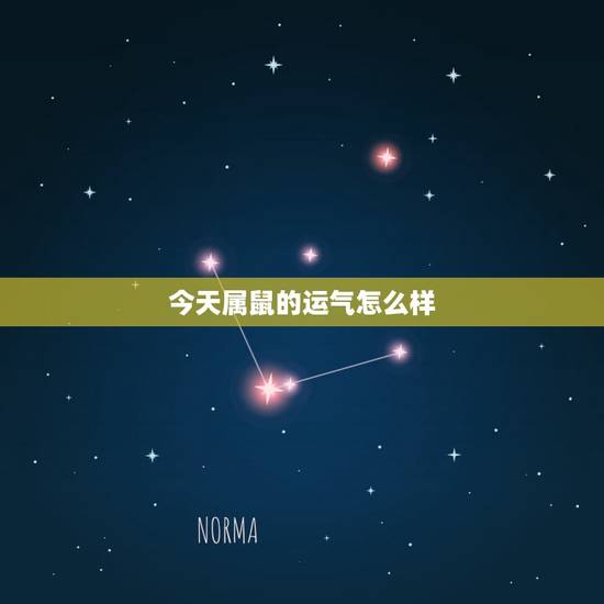 今天属鼠的运气怎么样，72年属鼠48岁有一灾2022