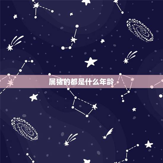 属猪的都是什么年龄,属猪的年份表及年龄 属猪的都是什么年龄,属猪的年份表及年龄