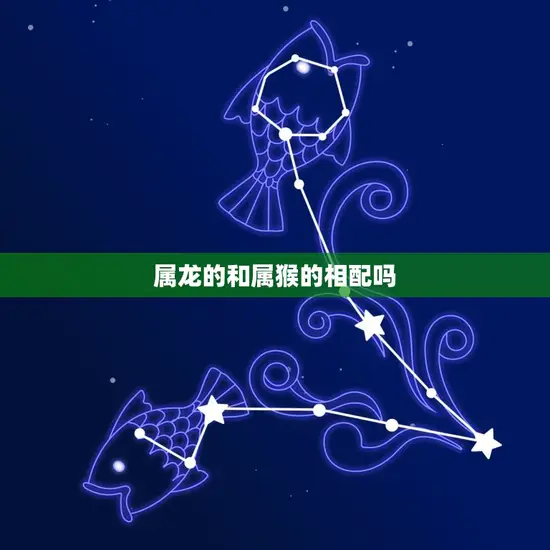 属龙的和属猴的相配吗