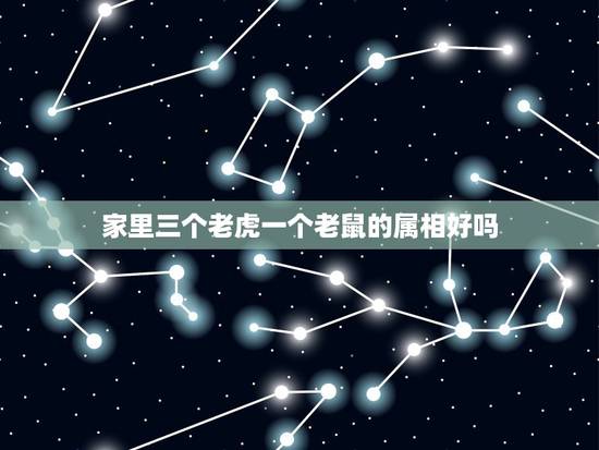 家里三个老虎一个老鼠的属相好吗,属老鼠和属虎的好不好 家里三个老虎一个老鼠的属相好吗,属老鼠和属虎的好不好