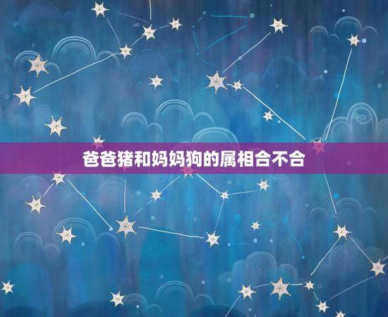 爸爸猪和妈妈狗的属相合不合，爸猪妈狗孩子哪个属相合