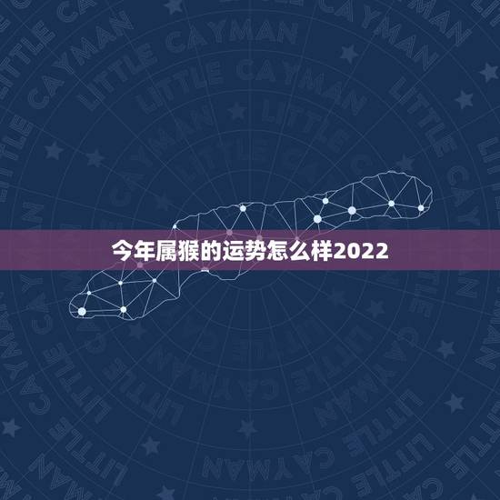 今年属猴的运势怎么样2022 ，1980年属猴女未来10年运势