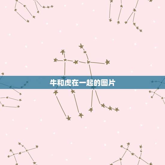 牛和虎在一起的图片，男牛女虎婚姻最终结局