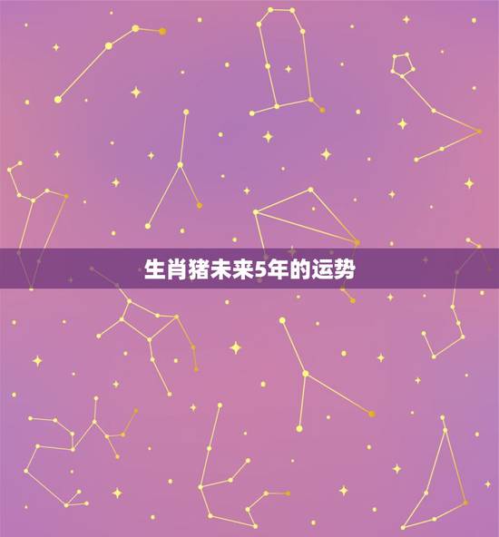 生肖猪未来5年的运势，属猪人未来10年大运