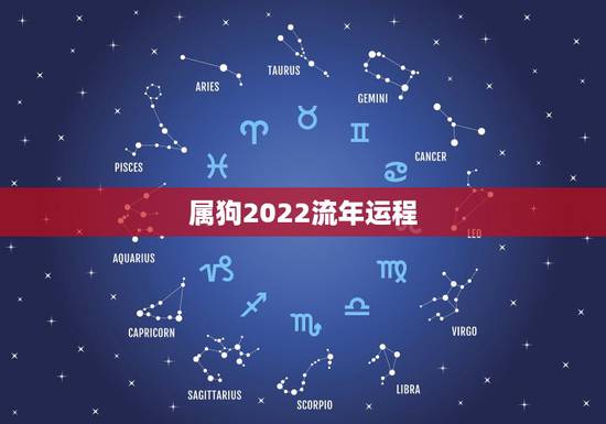 属狗2022流年运程,1982年属狗2022年运势 属狗2022流年运程,1982年属狗2022年运势
